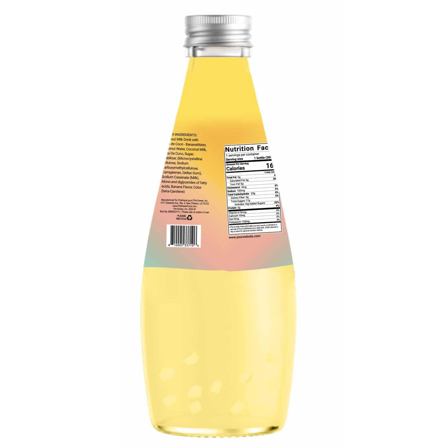 Coco dâIsle Coconut Milk Drink with Nata de Coco Mango Flavor, 10.1 FL. Oz.