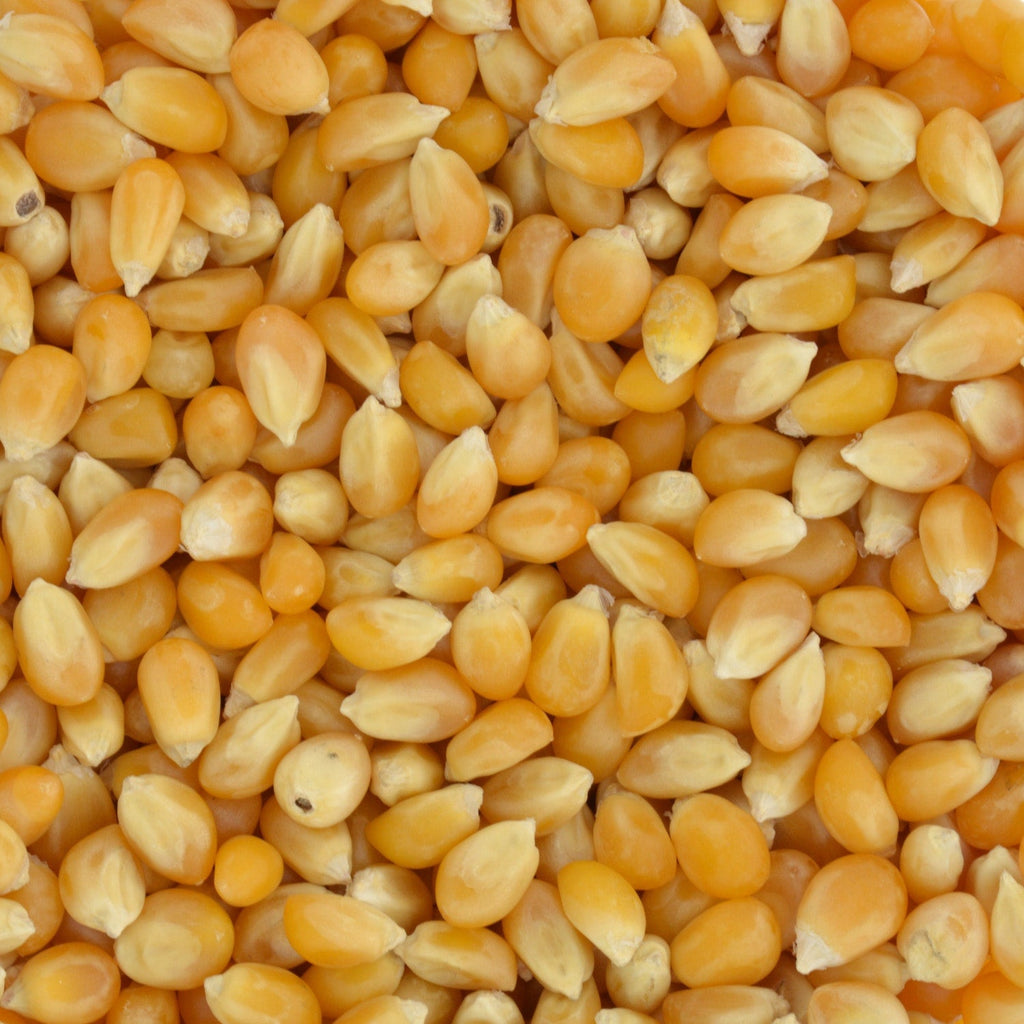 Jolly Time Yellow Popcorn Kernels, 20-oz.