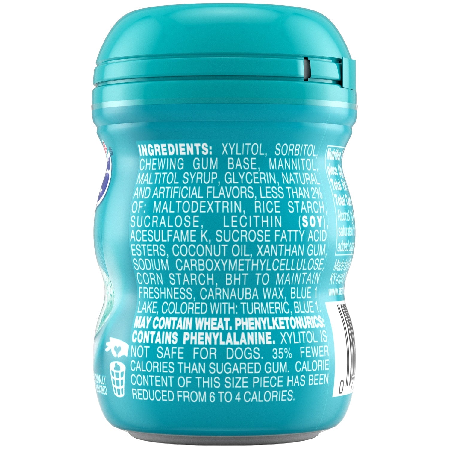 Mentos Sugar Free Wintergreen Fresh Gum Bottle, 1-ct.